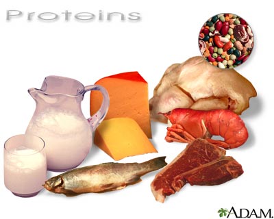 Download this Protein Rich Foods picture
